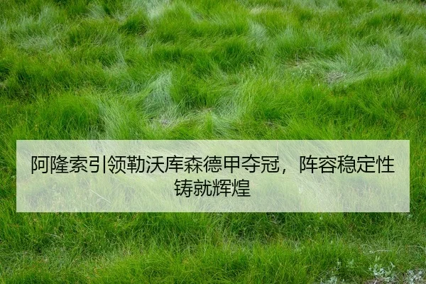a-long-suo-yin-ling-lei-wo-ku-sen-de-jia-duo-guan-zhen-rong-wen-ding-xing-zhu-jiu-hui-huang-3-123.jpg