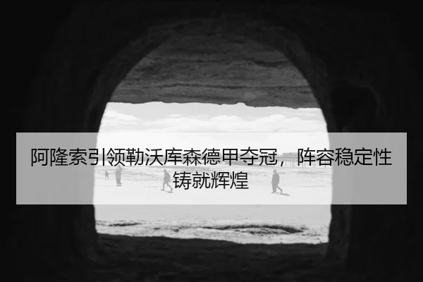 阿隆索引领勒沃库森德甲夺冠，阵容稳定性铸就辉煌
