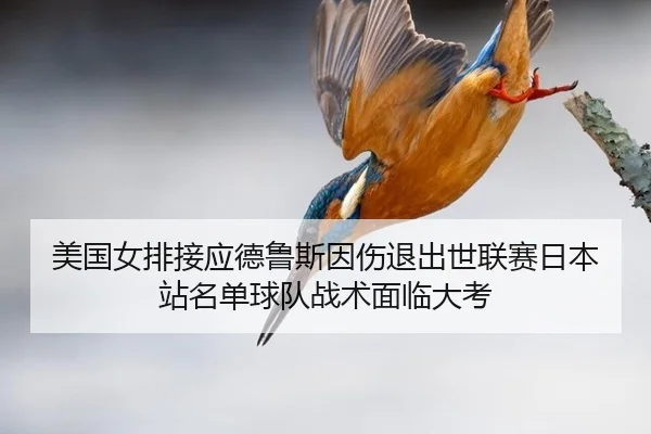 美国女排接应德鲁斯因伤退出世联赛日本站名单球队战术面临大考